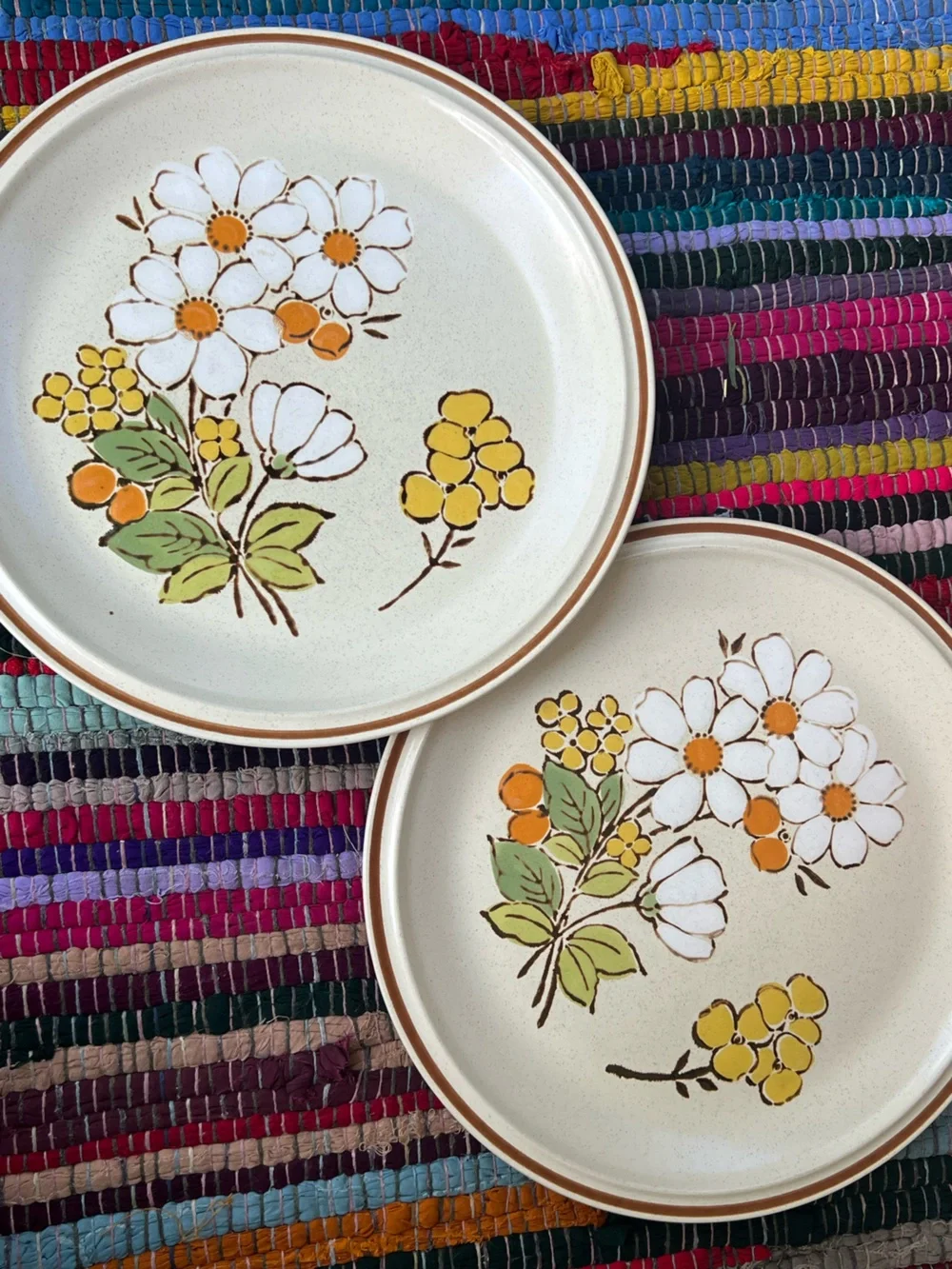 Floral Expressions Hearthside Summertime Dinner Plates Set of 2 Japan Vintage
